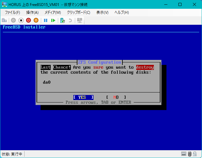 ZFS Configuration: Confirm Destroy